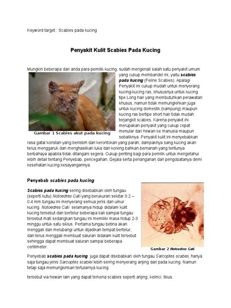 Scabies Pada Kucing Revisi | PDF