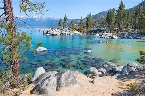 12 Issues to Do in Lake Tahoe in Summer season – Bearfoot Principle ...