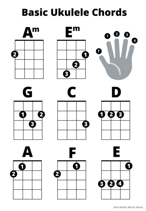 Beginner Ukulele Basic Chords Sheet Great for Beginners - Etsy | Ukulele beginner, Ukulele songs ...