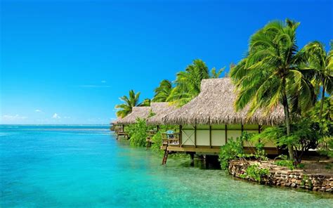 Download wallpapers Maldives, Tropical islands, beach, palms, travel, rest, summer, tropics for ...