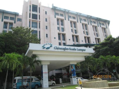 gleneagles hospital kuala lumpur - Alysha Labbe