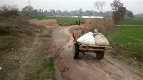 Chak Chatha Village - Punjab Pakistan - Near Dist Hafizabad {VILLAGE VLOG} - YouTube