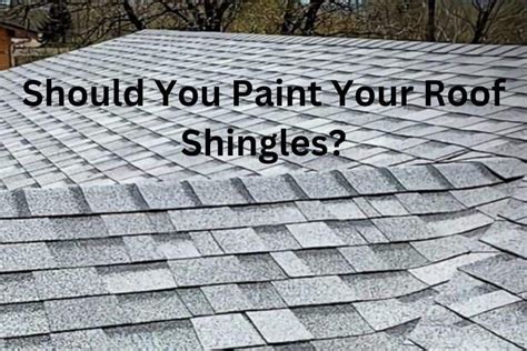 The Pros and Cons of Painting Roof Shingles – Outdoor Storage Options