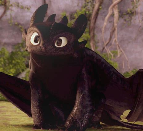 Toothless - How to Train Your Dragon Photo (20081014) - Fanpop