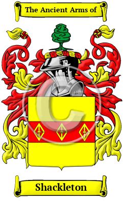 Shackleton Name Meaning, Family History, Family Crest & Coats of Arms