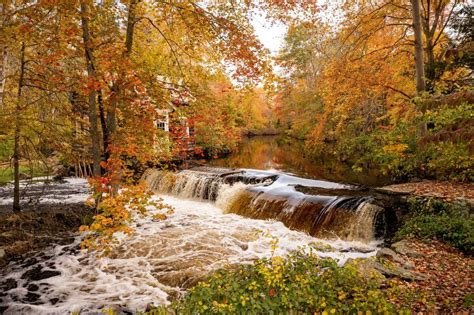 Connecticut Fall Foliage 2024 - Glyn Phoebe