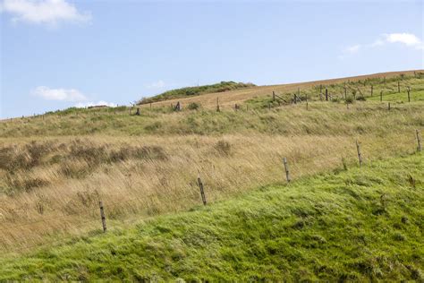 20IDM1937 | Chalk landscape North Wessex Downs AONB, tumulus… | Flickr