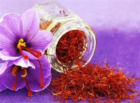 100% Natural Pure Organic Saffron From Kashmir Premium Qulity - Etsy