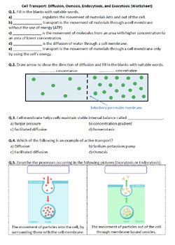 Cell Transport: Diffusion, Osmosis, Endocytosis, Exocytosis (Worksheet)