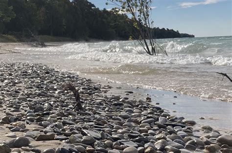 Why it’s easier to find Petoskey stones on Northern Michigan beaches in the spring - mlive.com