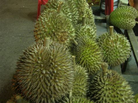 A Visit to Davao - All About Durian