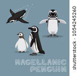 Magellanic Penguin Free Stock Photo - Public Domain Pictures