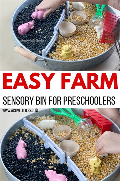 Easy Farm Sensory Bin for Preschoolers - Active Littles