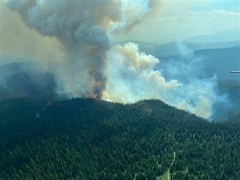 Wildfire south of Cranbrook grows by more than 130 hectares in windy conditions - BC News ...