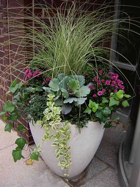 Winter Container Gardens | Fall container gardens, Winter container gardening, Container flowers