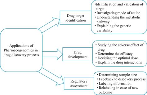 2 Applications of pharmacogenomics across the drug discovery process | Download Scientific Diagram