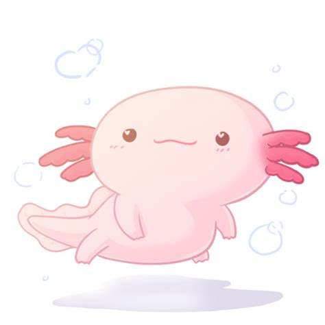 Axolotl Drawing at GetDrawings | Free download