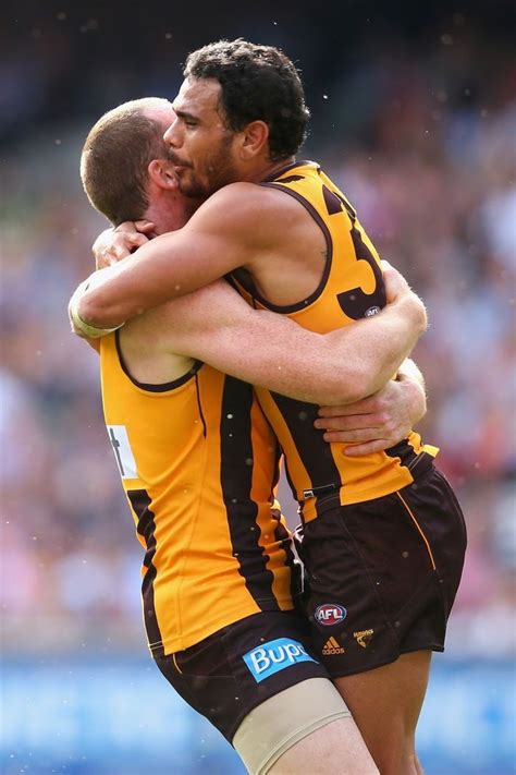 AFL grand final: Hawthorn's stunning victory - in pictures | Afl, Hawthorn football club ...