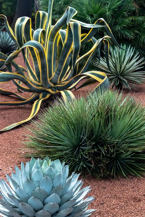 One Day in Marrakesh - A Stroll Through the Majorelle Garden - Quiltripping