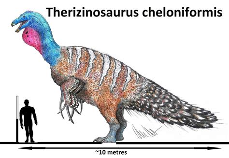 Pin by joshkilby on Deviantart animal size comparison charts ...