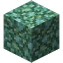 Prismarine (Minecraft) - Feed The Beast Wiki