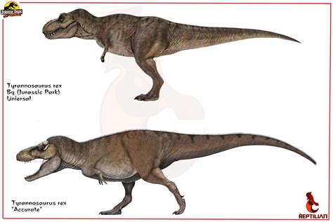 Jurassic park Tyrannosaurus rex comparison | Jurassic Park | Know Your Meme