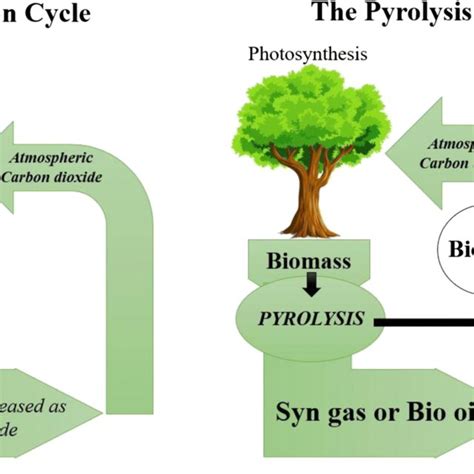 Schematic representation of carbon and pyrolysis-induced carbon cycle ...