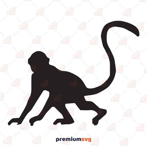 Monkey SVG Cut File, Monkey for Cricut and Silhouette | PremiumSVG