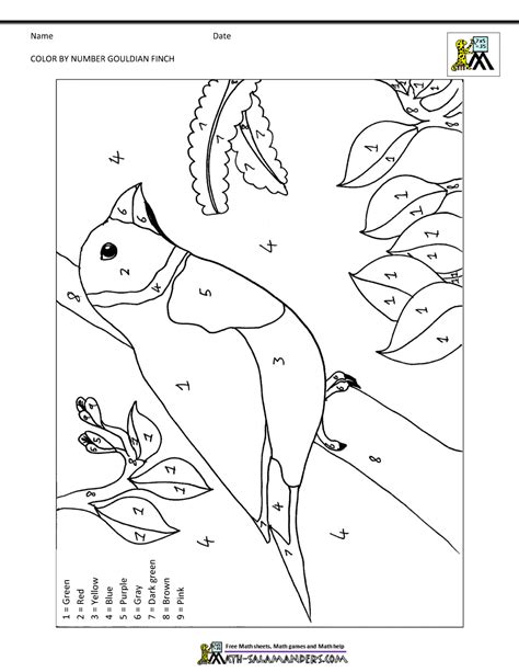 Bird Pages For Preschoolers Coloring Pages