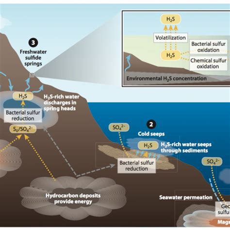 Overview of environmental sources and fate of hydrogen sulfide (H2S) in... | Download Scientific ...