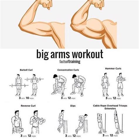 Want bigger arms? Try this! 💪🏼 via @factsoftraining #MenWith #menwithhealth | Arm workout, Gym ...