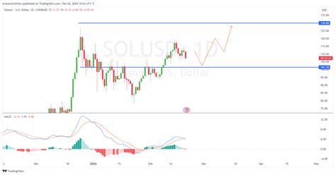 Solana Price Analysis: SOL Dips Below $110 As Bearish Trends Emerge, What Comes Next?