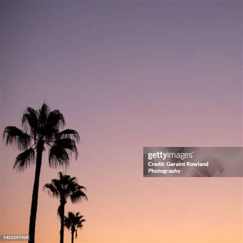 728 Beirut Sunset Stock Photos, High-Res Pictures, and Images - Getty ...