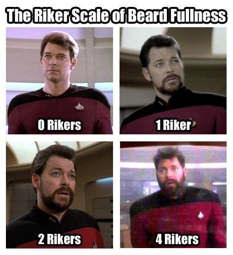 Star Trek Meme, Fandom Star Trek, Star Wars, Star Trek Books, Star Trek ...