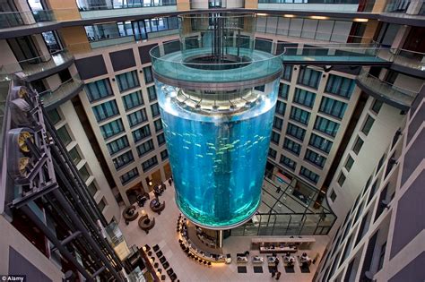 The incredible 82ft-tall hotel aquarium in Berlin that has an elevator ...