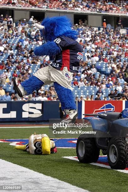 Billy Buffalo Mascot Photos and Premium High Res Pictures - Getty Images