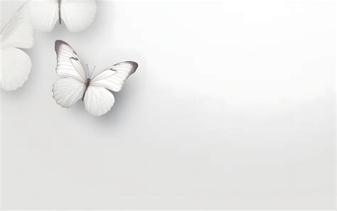 Premium AI Image | White butterfly on a white background