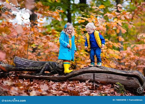 Kids Playing in Autumn Park Stock Photo - Image of foliage, brother: 74885898