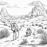 Desert Coloring Pages  Free & Printable sketch template