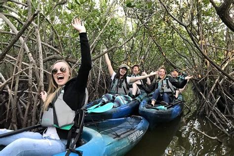 Thousand Island Mangrove Tunnel, Manatee & Dolphin Kayak Tour w/Cocoa Kayaking