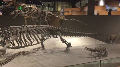 Natural history museum of Utah - dinosaurs! - YouTube