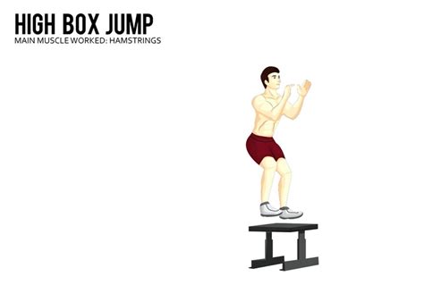 High Box Jump Exercise | Workouts