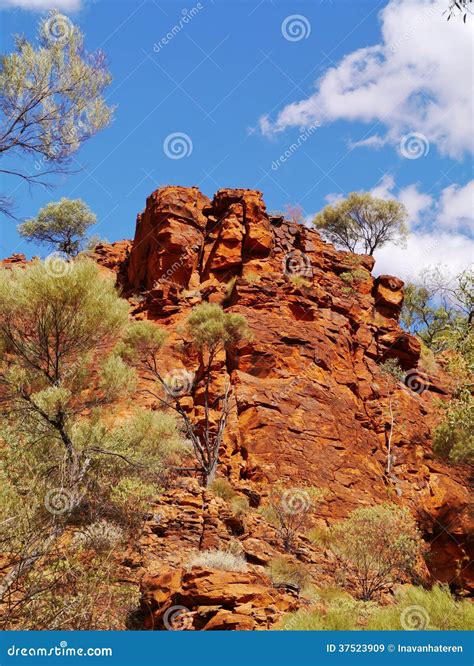 Watarrka National Park stock image. Image of natural - 37523909