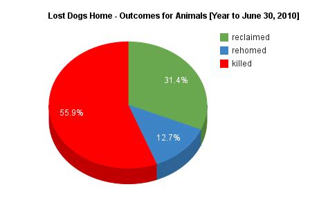 How Many Dogs Get Abandoned Each Year