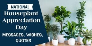 National Houseplant Appreciation Day Messages, Wishes & Quotes – Sample ...