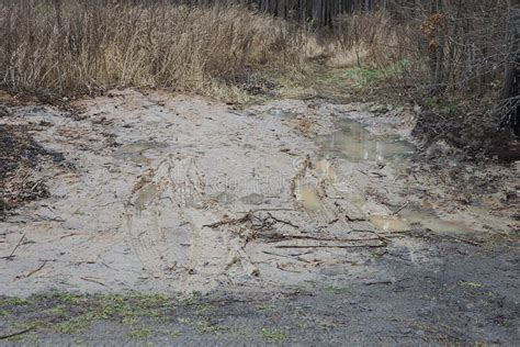 Part of a Brown Dirt Road with Potholes and Puddles Stock Photo - Image ...