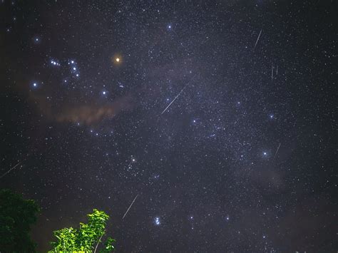 Hujan Meteor Perseid Malam Ini, Tak Boleh Dilewatkan! | Tagar