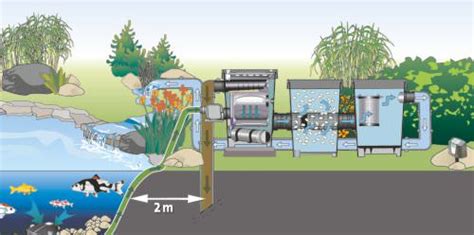 How To | Designing Fish Pond Filtration | World of Water