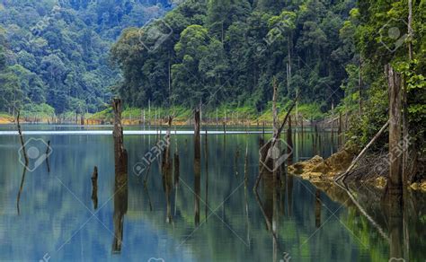 Cara Untuk Ke Tasik Kenyir, Terengganu - TripJalan