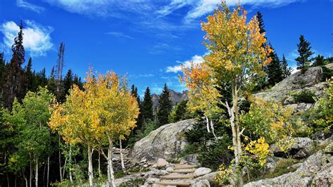 View Fall Colors on Bear Lake Road (U.S. National Park Service)